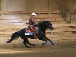 Reining Riders